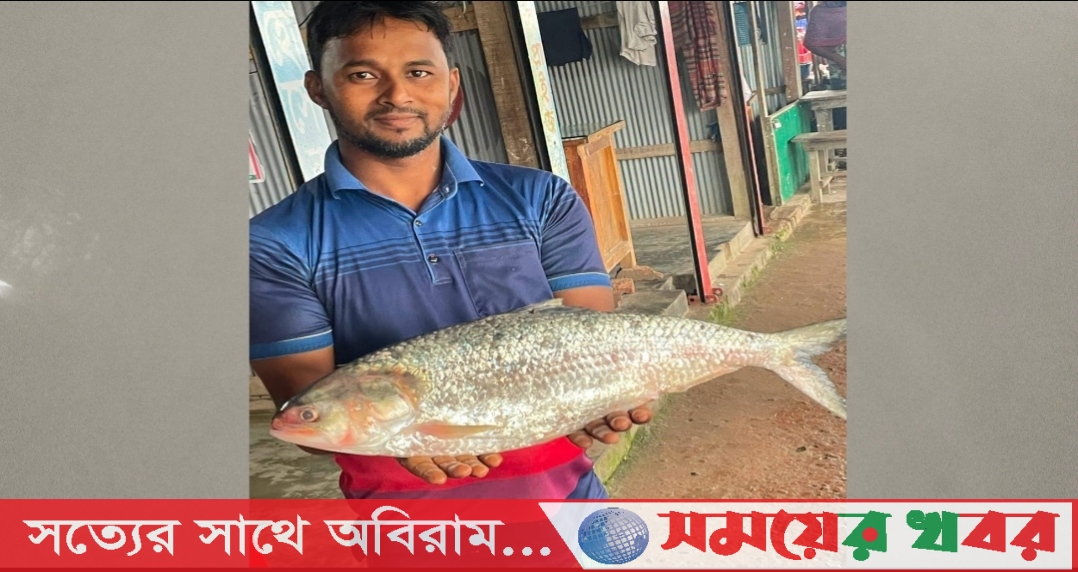 সাগর মোহনায় জেলেদের জালে ধরা পড়ল ইলিশের রাজা